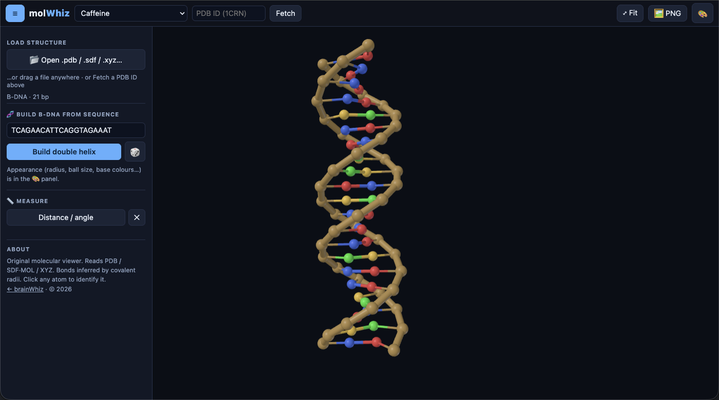 molWhiz molecular viewer rendering a B-DNA double helix
